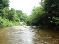 Tn PPTC 293